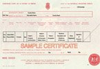 Sample Birth Certificate - Click for Full-Size Image